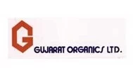 Gujarat Organics -Yash Filters Pvt Ltd